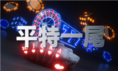 正版宝典材料大全